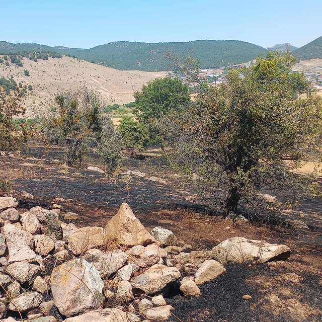 Konya'da çıkan yangın söndürüldü