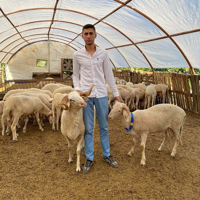 Yüksek kar vaadiyle hayvan toplayıp besicileri dolandırdı