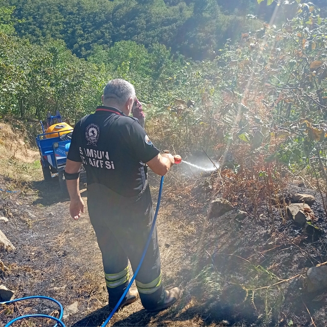 Salıpazarı'nda fındık bahçesinde çıkan yangın hasara yol açtı