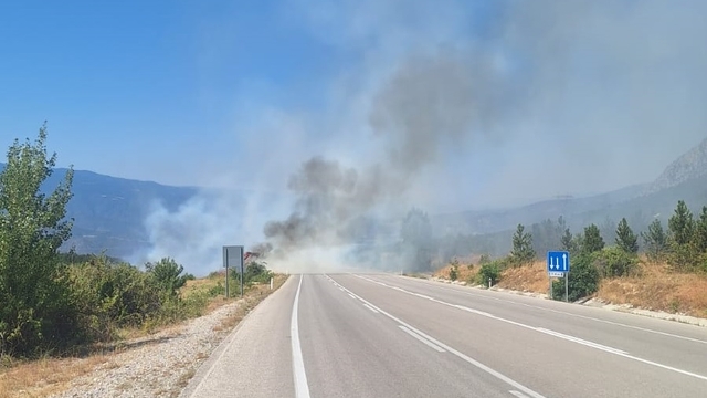 Çorum'da ormanlık alanda çıkan yangın büyümeden söndürüldü
