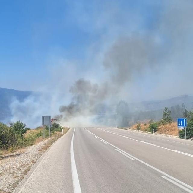 Çorum'da ormanlık alanda çıkan yangın büyümeden söndürüldü
