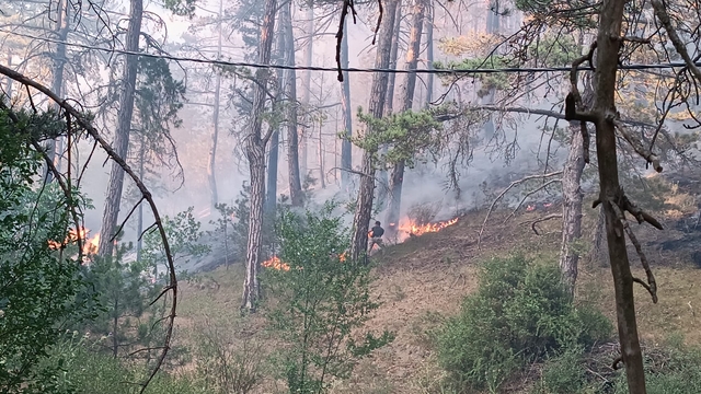 Bolu'nun Mudurnu ilçesinde ormanlık alanda yangın çıktı