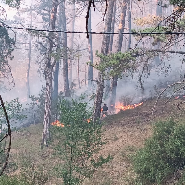 Bolu'nun Mudurnu ilçesinde ormanlık alanda yangın çıktı