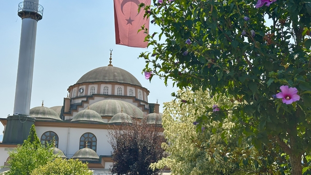 Düzce'de orman yangını şehitleri için Kur'an-ı Kerim okundu
