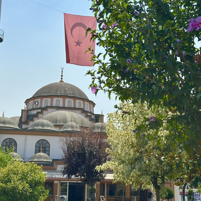 Düzce'de orman yangını şehitleri için Kur'an-ı Kerim okundu