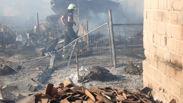 Edirne'de köyde çıkan yangında 80 küçükbaş hayvan telef oldu