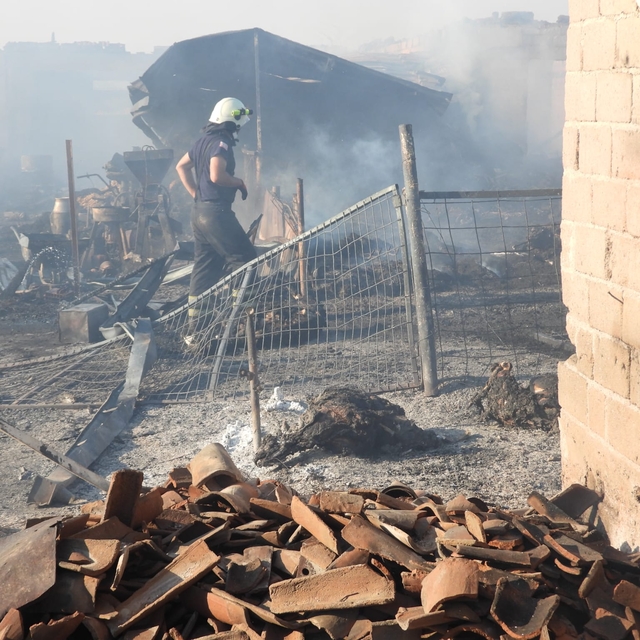 Edirne'de köyde çıkan yangında 80 küçükbaş hayvan telef oldu