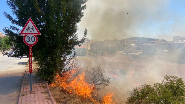 Beyşehir'de otluk alanda çıkan yangın söndürüldü