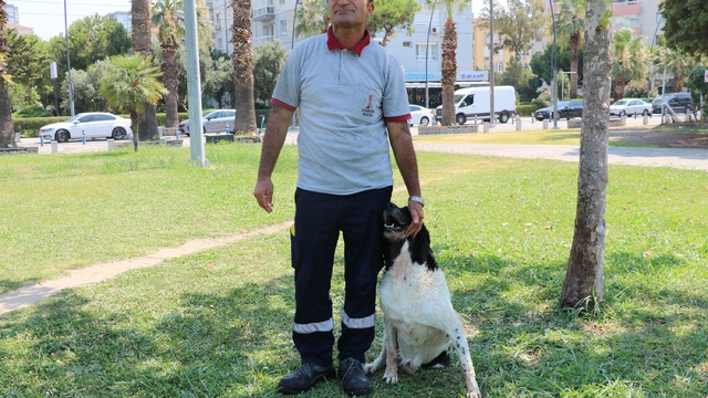 Temizlik görevlisinin sokak köpeği ile bağı dikkat çekiyor: O benim 3'üncü çocuğum