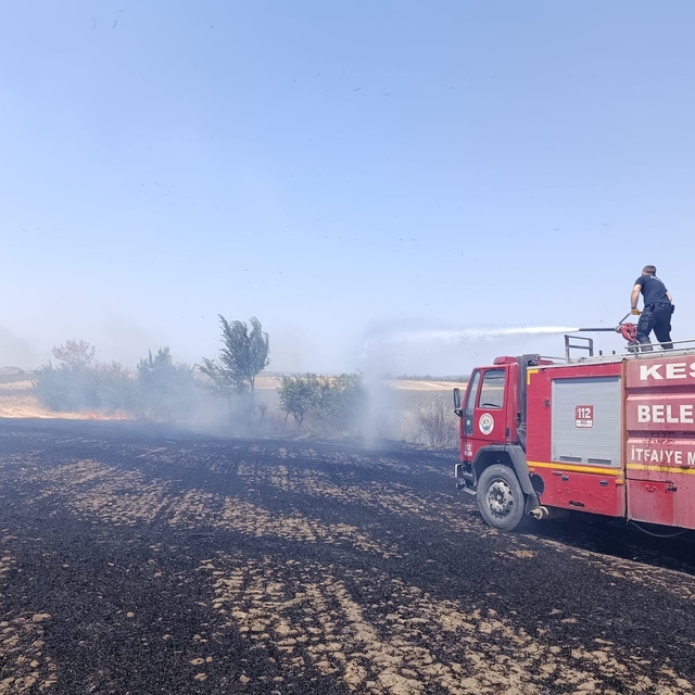 Edirne'de çıkan anız yangını söndürüldü
