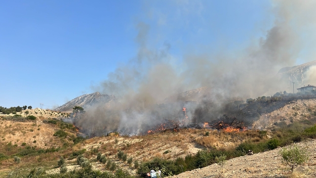 Antalya'da ormanlık alanlarda çıkan yangınlara müdahale ediliyor
