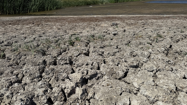 Tekirdağ'daki Müsellim Göleti'nin su seviyesi azaldı