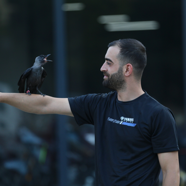 Bingöllü motosiklet teknisyeni hayata bağladığı karga "Şimşek" ile dost old...