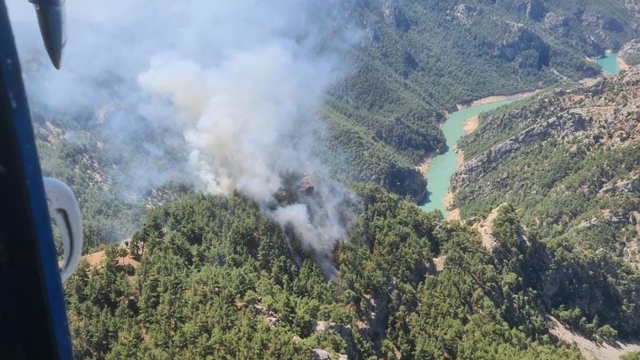 Adana'da orman yangını