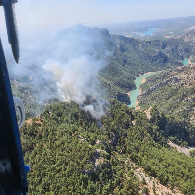 Adana'da orman yangını