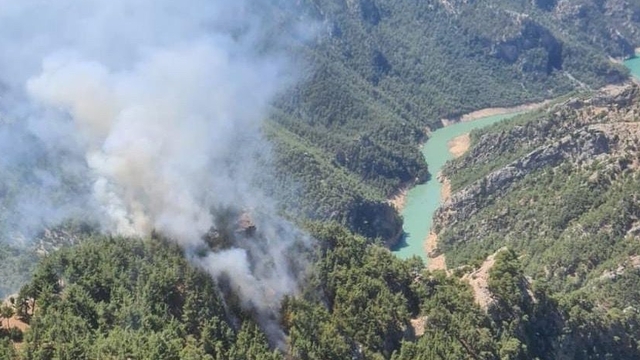 Adana'da ormanlık alanda yangın çıktı