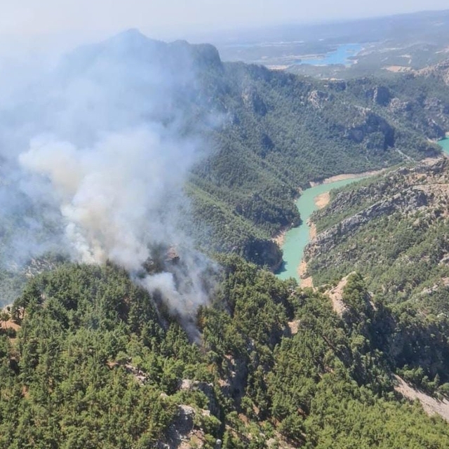 Adana'da ormanlık alanda yangın çıktı
