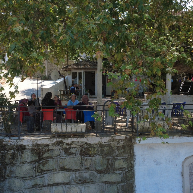 Manisa'da anıt ağaç altında odun ateşinde demlenen çay ilgi görüyor