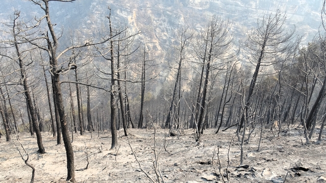 Karabük'teki orman yangınlarına 3. gününde müdahale sürüyor