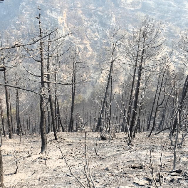 Karabük'teki orman yangınlarına 3. gününde müdahale sürüyor