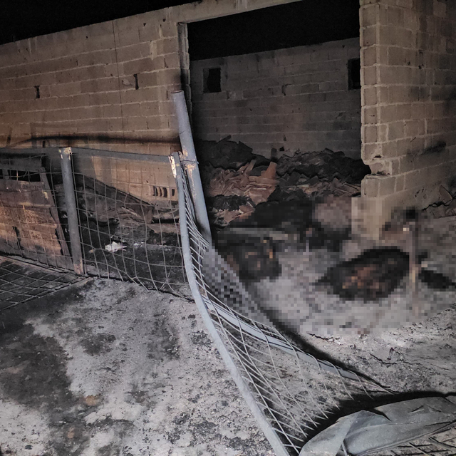 Ahırda çıkan yangın, 2 ev ve depoya sıçradı; 80 küçükbaş öldü