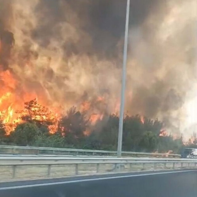 İzmir'de orman yangını