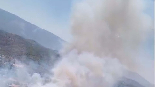 Muğla'da tarım arazisinde yangın