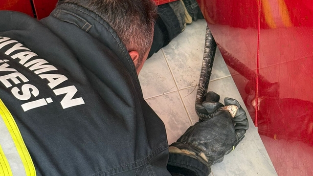 Adıyaman'da evin mutfağına giren yılanı itfaiye ekibi yakaladı