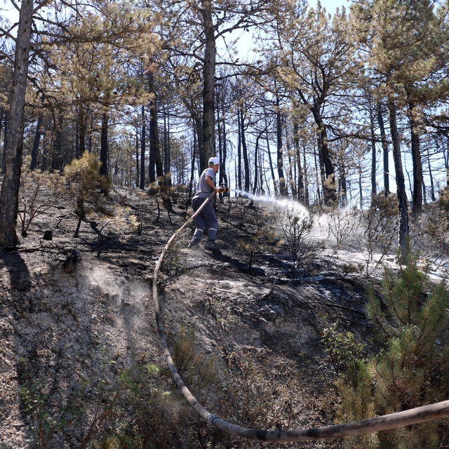 Eskişehir'de çıkıp, Afyonkarahisar'a sıçrayan yangın kontrol altında