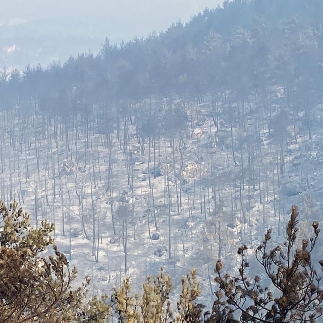 Karabük'te orman yangınlarına müdahale sürüyor