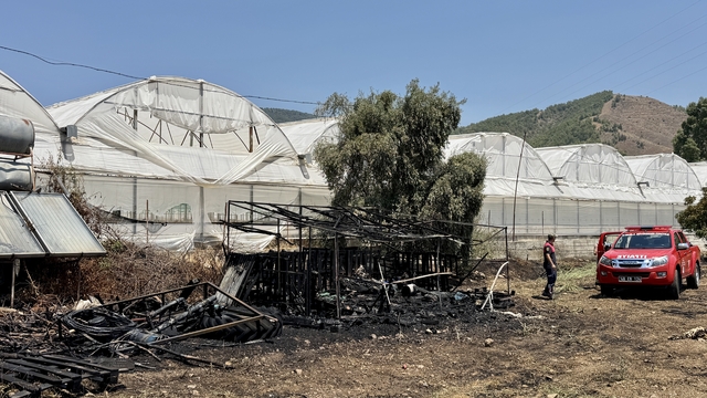 Muğla'da otluk alanda çıkan yangın söndürüldü