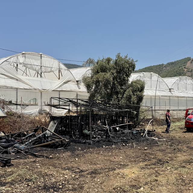 Muğla'da otluk alanda çıkan yangın söndürüldü