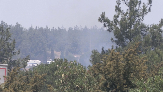 İzmir'de orman yangını (2)