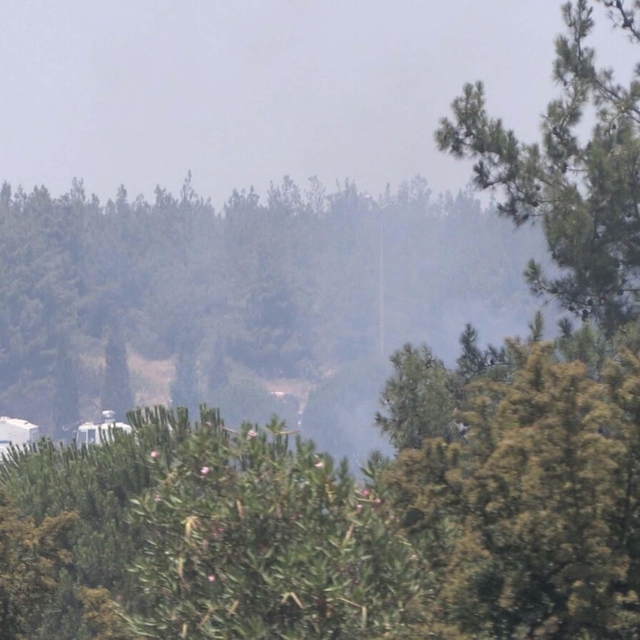 İzmir'de orman yangını (2)