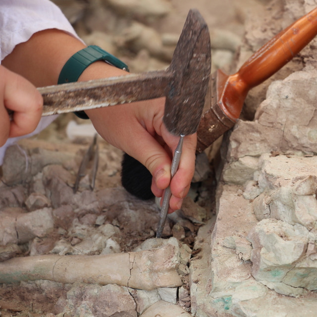 Çankırı'da Çorakyerler Omurgalı Fosil Lokalitesi'nde 2025 kazıları başladı