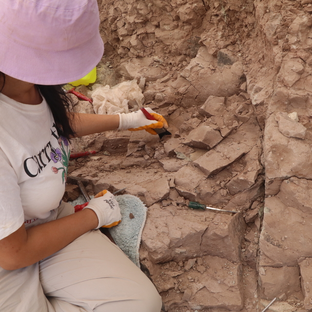 Çankırı'daki "Çorakyerler Omurgalı Fosil Lokalitesi"nde kazılara başlandı