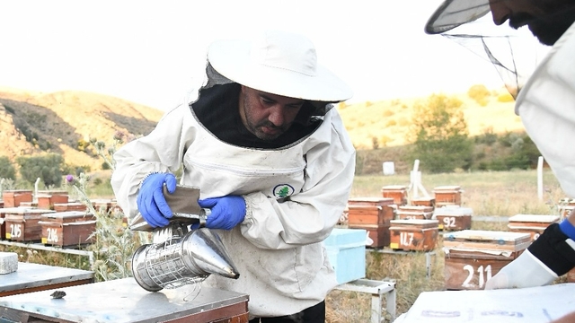 Pursaklar Belediyesinin 300 kovanda ürettiği balın hasadına başlandı