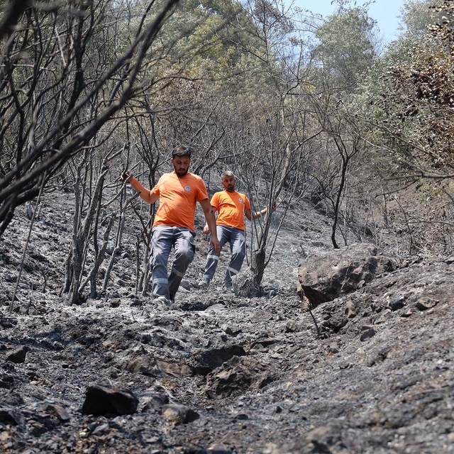 Sakarya'da yangınlardan etkilenen can dostlar için seferberlik