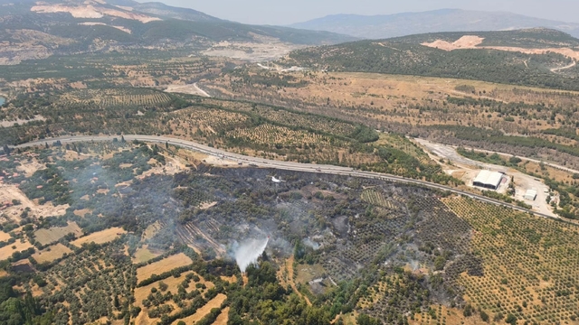 Muğla'da tarım arazisinde yangın (2)