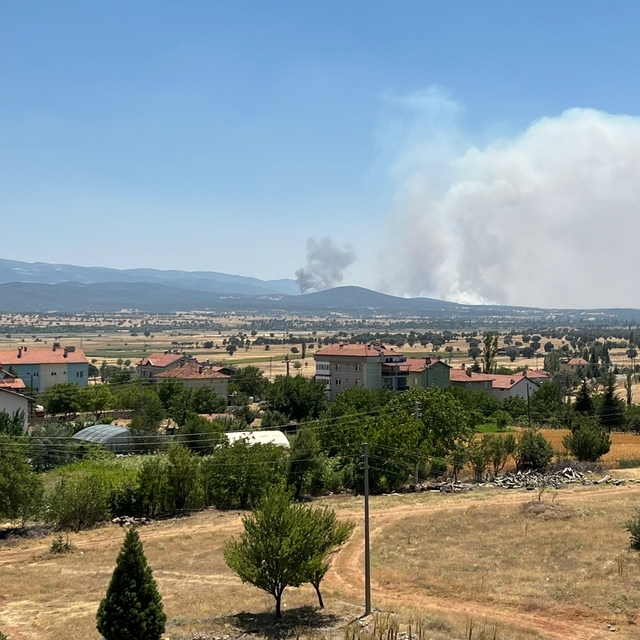 Uşak'ta meşelik alanda çıkan yangına müdahale ediliyor