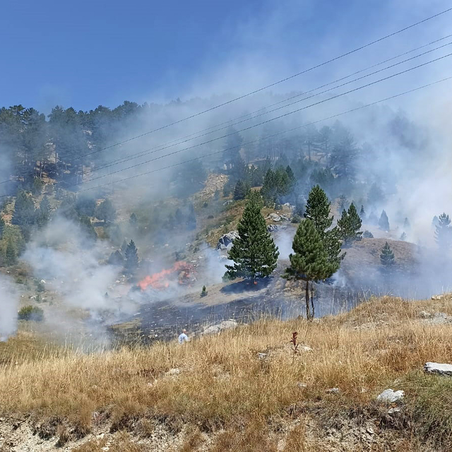 Antalya'da 4 orman yangın kontrol altında, 2'sine müdahale sürüyor (9)