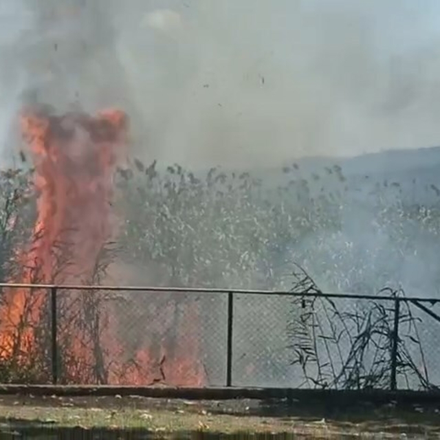 Sapanca Gölü kıyısındaki sazlıkta çıkan yangın söndürüldü