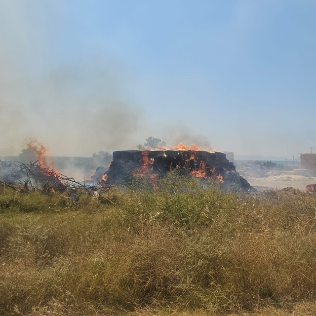 Serik'te otluk bölgeden ziraat alanına sıçrayan yangın söndürüldü