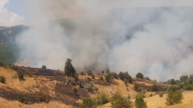 Tunceli'de çıkan örtü yangınına müdahale ediliyor
