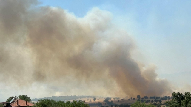 Uşak'ta meşelik yangını