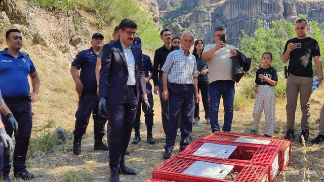 Bolu'da 600 kınalı keklik doğaya bırakıldı