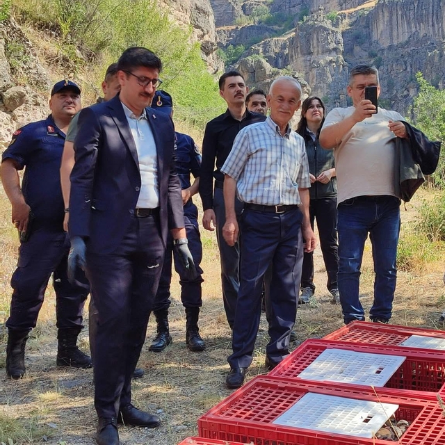 Bolu'da 600 kınalı keklik doğaya bırakıldı