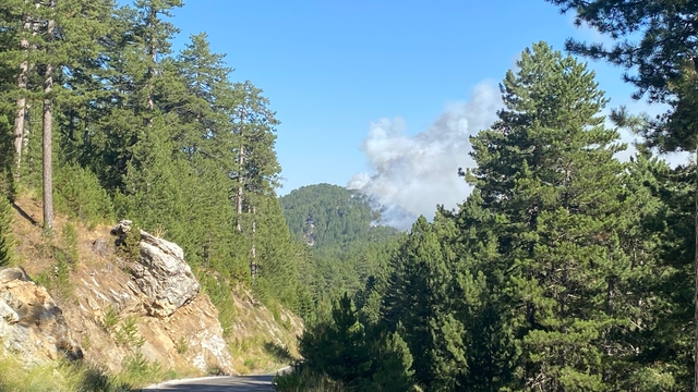 Alanya'da ormanlık alanda yangın çıktı