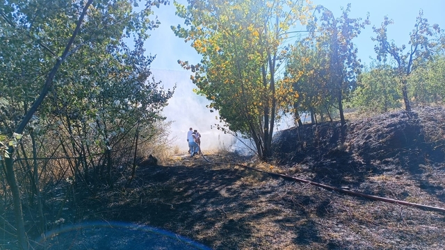 İnegöl'de anız yangını ormana sıçradı