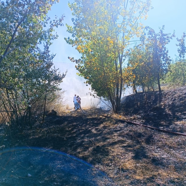 İnegöl'de anız yangını ormana sıçradı